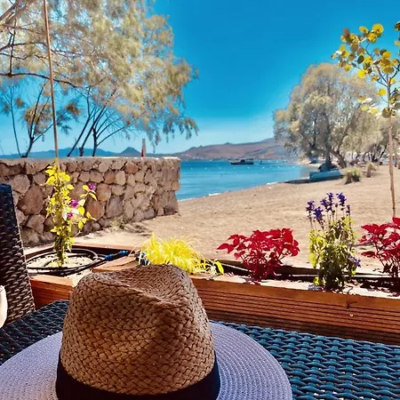 Authentic Bodrum With Special Private Pool