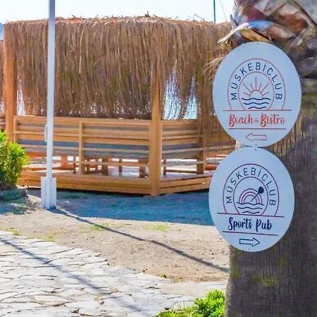 Authentic Bodrum With Special Private Pool Willa Ortakent