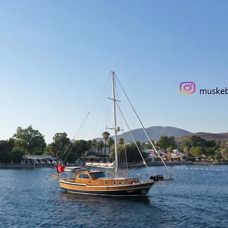 Authentic Bodrum With Special Private Pool * Ortakent
