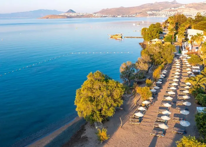 Villa Authentic Bodrum With Special Private Pool