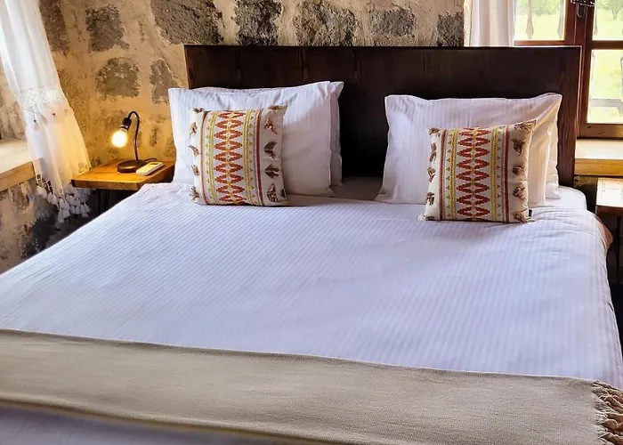 Authentic Bodrum With Special Private Pool Ortakentyahşi