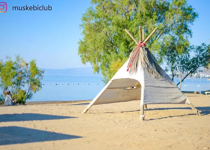 Authentic Bodrum With Special Private Pool Villa