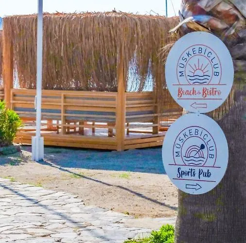 Authentic Bodrum With Special Private Pool Villa Ortakentyahşi