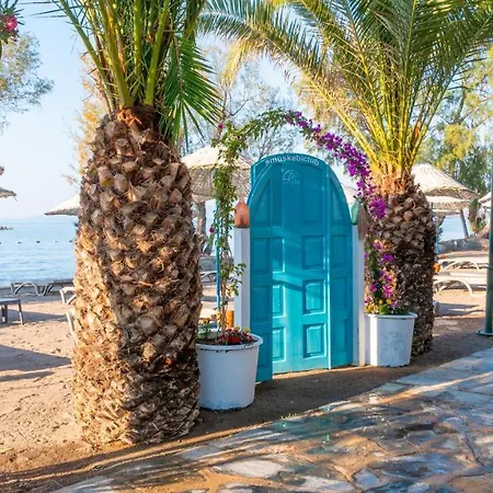 Villa Authentic Bodrum With Special Private Pool *