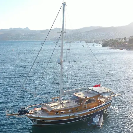 Authentic Bodrum With Special Private Pool * Ortakent