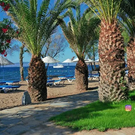 Authentic Bodrum With Special Private Pool Вилла *