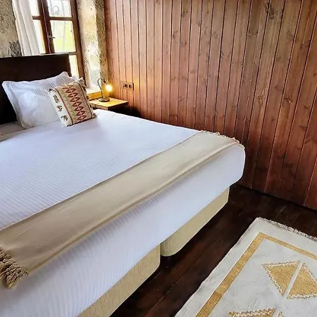 Authentic Bodrum With Special Private Pool * Ortakent