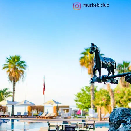 Authentic Bodrum With Special Private Pool * Ortakent