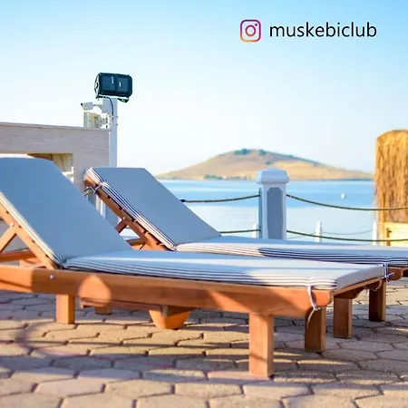 Authentic Bodrum With Special Private Pool Villa
