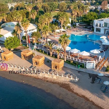 Вилла Authentic Bodrum With Special Private Pool