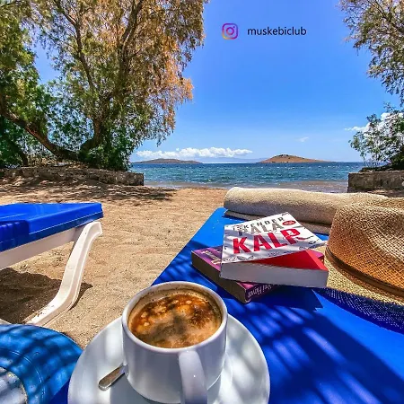 Villa Authentic Bodrum With Special Private Pool