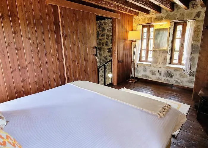 Vila Authentic Bodrum With Special Private Pool *