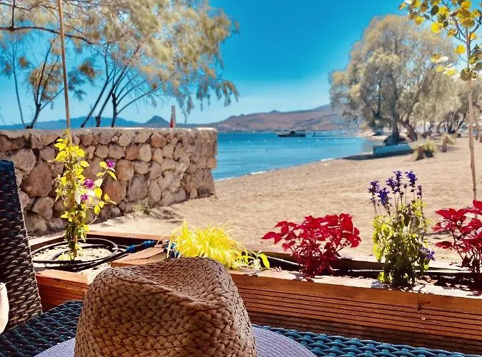 Authentic Bodrum With Special Private Pool