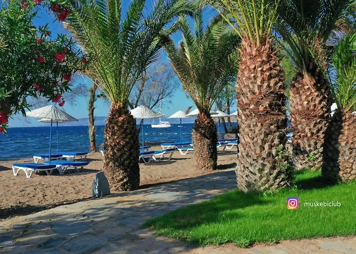 Authentic Bodrum With Special Private Pool Vila *