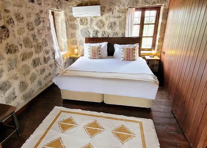 Authentic Bodrum With Special Private Pool * Ortakent