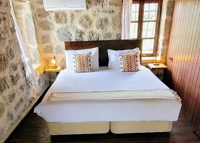 Authentic Bodrum With Special Private Pool Vila Ortakent