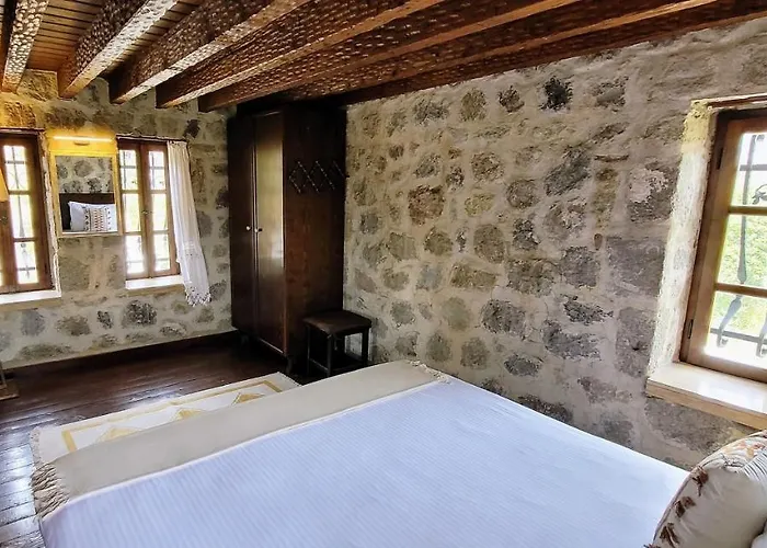 Authentic Bodrum With Special Private Pool *