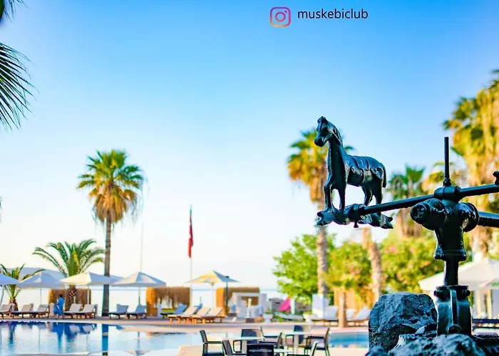 Authentic Bodrum With Special Private Pool * Ortakent