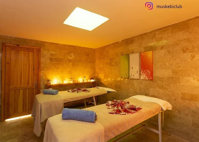 Vila Authentic Bodrum With Special Private Pool