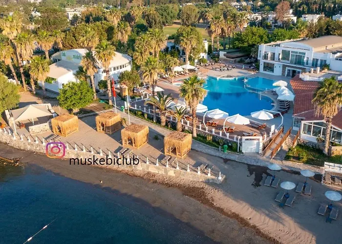 Vila Authentic Bodrum With Special Private Pool