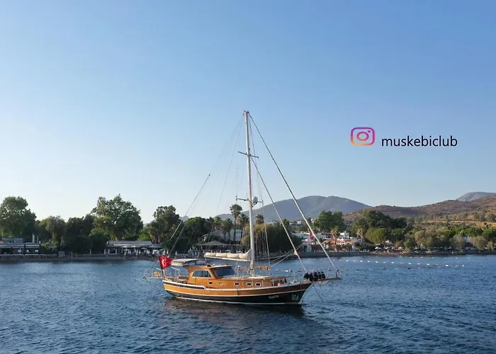 Authentic Bodrum With Special Private Pool * Ortakent