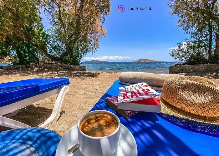 Vila Authentic Bodrum With Special Private Pool